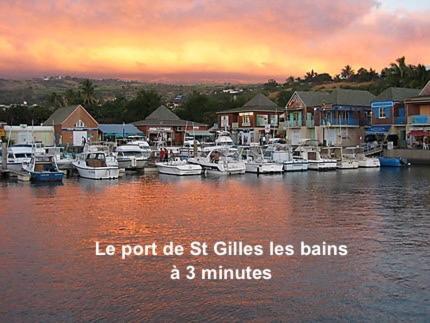 Prana Lodge Saint Gilles Les Bains 800 M De La Plage 외부 사진